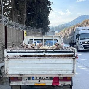 Hayvan hastalıkları ile mücadelede yol kontrolleri devam ediyor