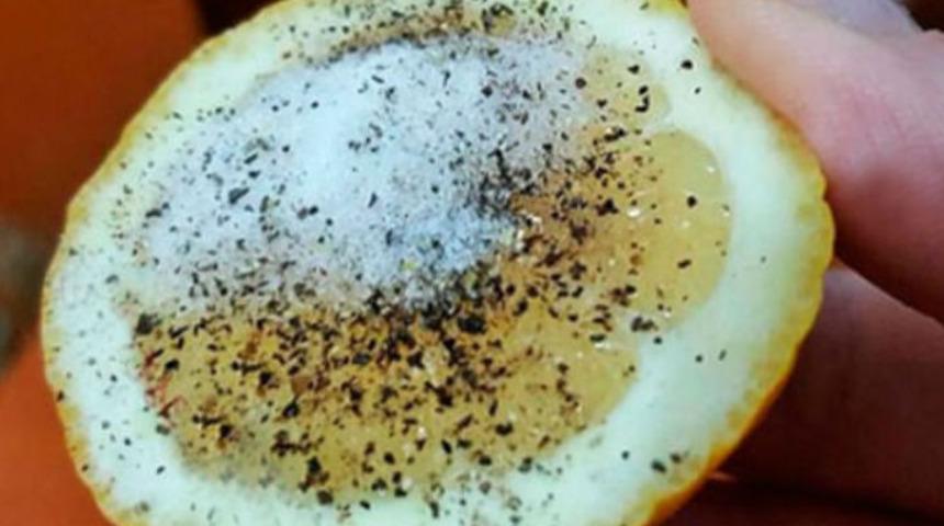 Mucizevi üçlü! Tuz, karabiber ve limon şifası!