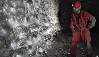 106 metrekarelik dev örümcek ağı: 111 bin örümcek yaşıyor