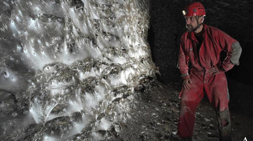 Mağaranın i&ccedil;inde dev &ouml;r&uuml;mcek ağı! Birbirini avlayan iki t&uuml;r bir arada: 111 bin &ouml;r&uuml;mcek yaşıyor