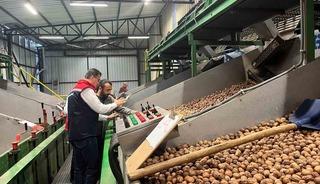 Tekirdağ’da ceviz ekim alanları genişliyor