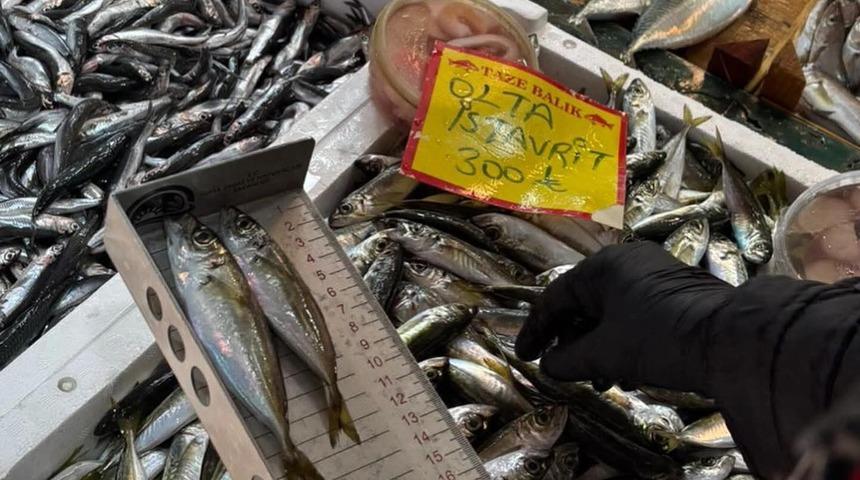 Tekirdağ&rsquo;da balık tezgahlarına sıkı denetim: Boy &ouml;l&ccedil;&uuml;mleriyle s&uuml;rd&uuml;r&uuml;lebilir avcılığa destek