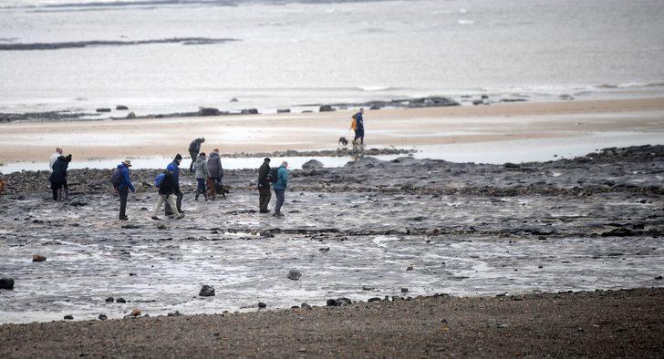 7 bin yıllık 'sır' orman ortaya çıktı! G1