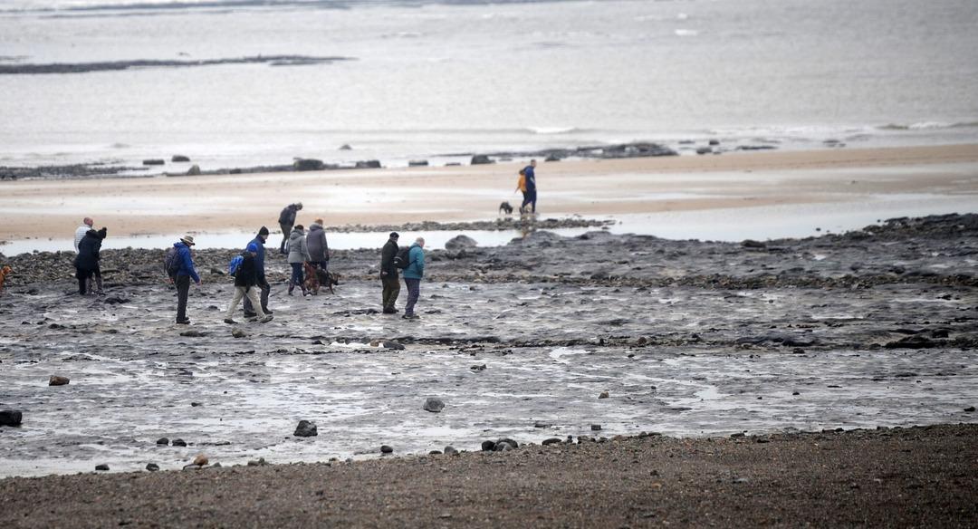 7 bin yıllık 'sır' orman ortaya &ccedil;ıktı!