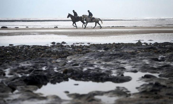 7 bin yıllık 'sır' orman ortaya çıktı! G2