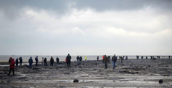 7 bin yıllık 'sır' orman ortaya çıktı! G3