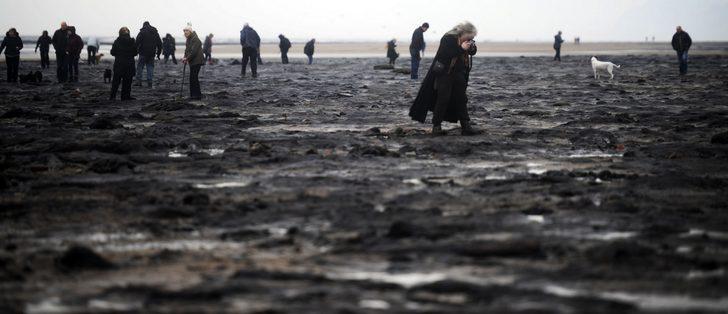 7 bin yıllık 'sır' orman ortaya çıktı! G5