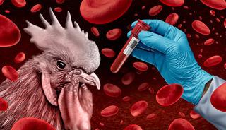 Küresel bir sorun haline geliyor