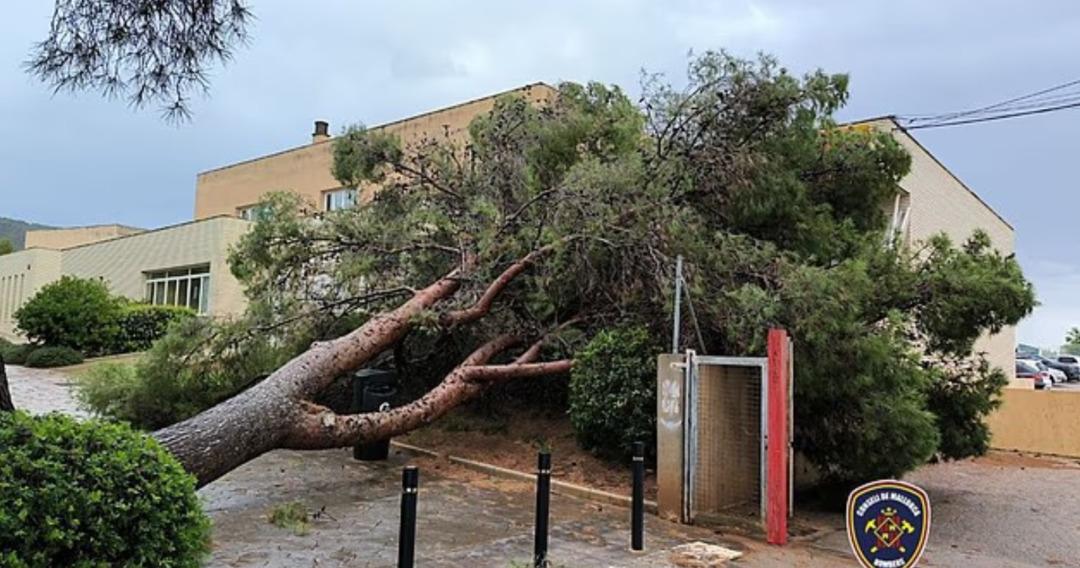 İspanya  Melissa  etkisi altında: “Aşırı dikkatli olun” çağrısı yapıldı! Binaları çökme tehlikesine karşı tahliye ettiler 1