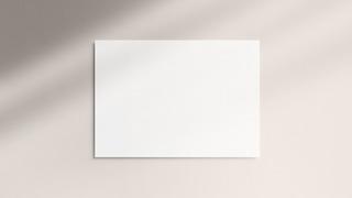 Kağıdı kim, ne zaman icat etti? Kağıdı ilk kim buldu?