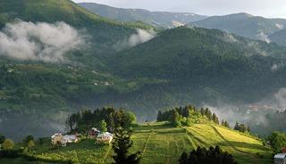 Bilim insanları açıkladı! 3 ilde görüldü! 