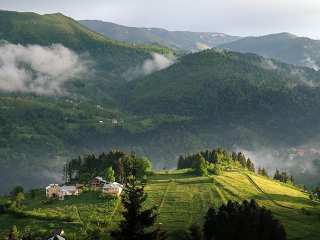 Bilim insanları açıkladı! 3 ilde görüldü! 