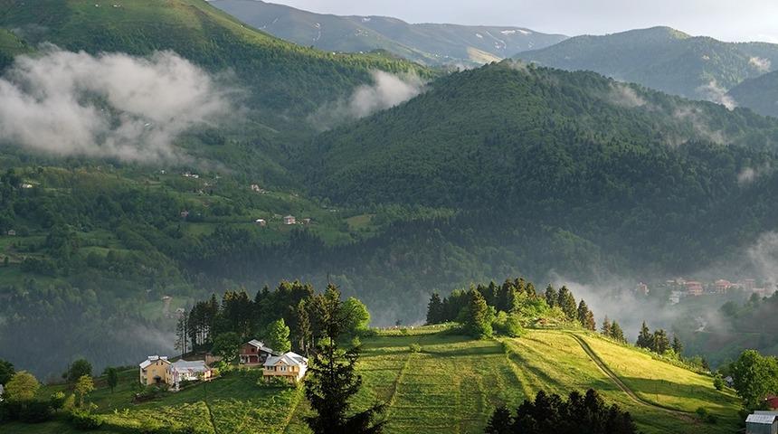 Bilim insanları a&ccedil;ıkladı! 3 ilde g&ouml;r&uuml;ld&uuml;, yeni keşif heyecanlandırdı