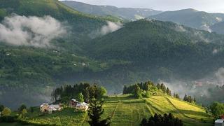 Bilim insanları açıkladı! 3 ilde görüldü, yeni keşif heyecanlandırdı