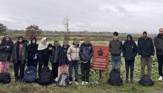 Edirne'de 29 kaçak göçmen yakalandı
