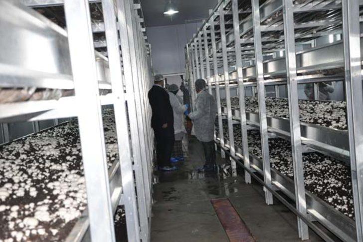 Daha öğrenci ama tam otomasyonlu tesis kurdu G2