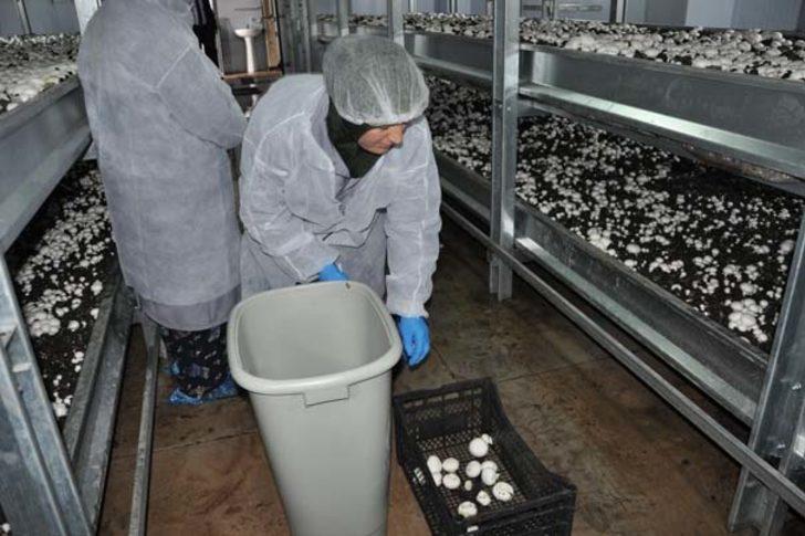 Daha öğrenci ama tam otomasyonlu tesis kurdu G3