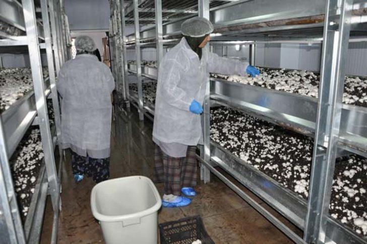 Daha öğrenci ama tam otomasyonlu tesis kurdu G4