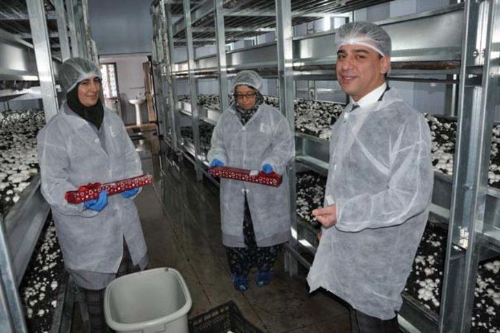 Daha öğrenci ama tam otomasyonlu tesis kurdu G5