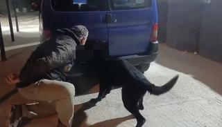 Samsun’da stepne lastiğine zulalanan metamfetamin ele geçirildi