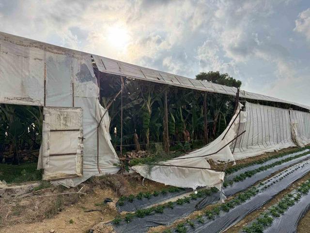 Mersin’de fırtına ve hortum seralara zarar verdi 5