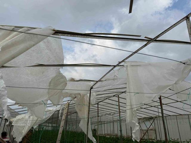 Mersin’de fırtına ve hortum seralara zarar verdi 4