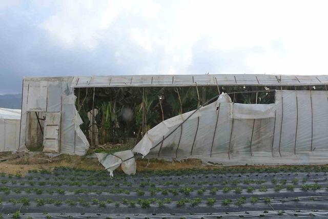 Mersin’de fırtına ve hortum seralara zarar verdi 2