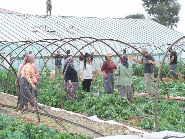 Mersin’de fırtına ve hortum seralara zarar verdi