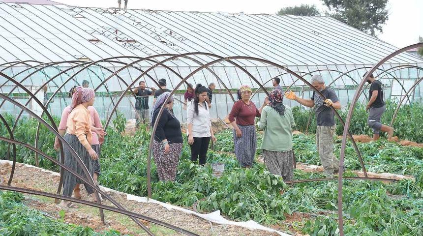Mersin’de fırtına ve hortum seralara zarar verdi