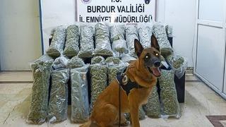 Burdur’da 36 kilo skunk maddesi ele geçirildi, operasyon görüntülüleri film sahnelerini aratmadı