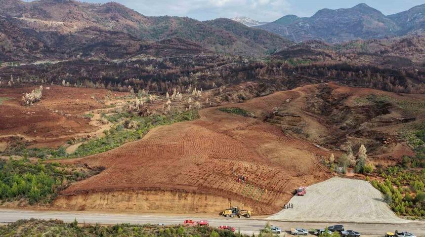 Aydın&rsquo;da 17 lokasyonda fidan dikilecek