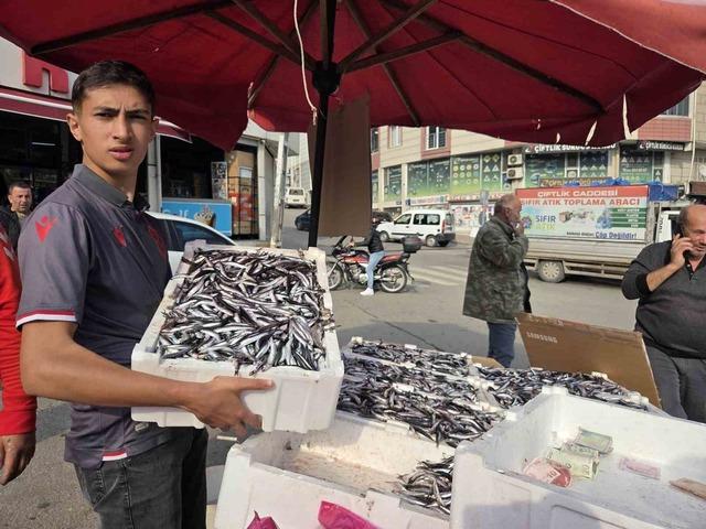 640xauto Fanatik balıkçı çıldırdı, hamsiyi 25 TL’den sattı