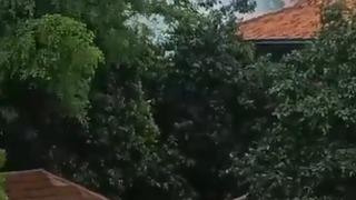 Endonezya'da camide patlama: 54 yaralı