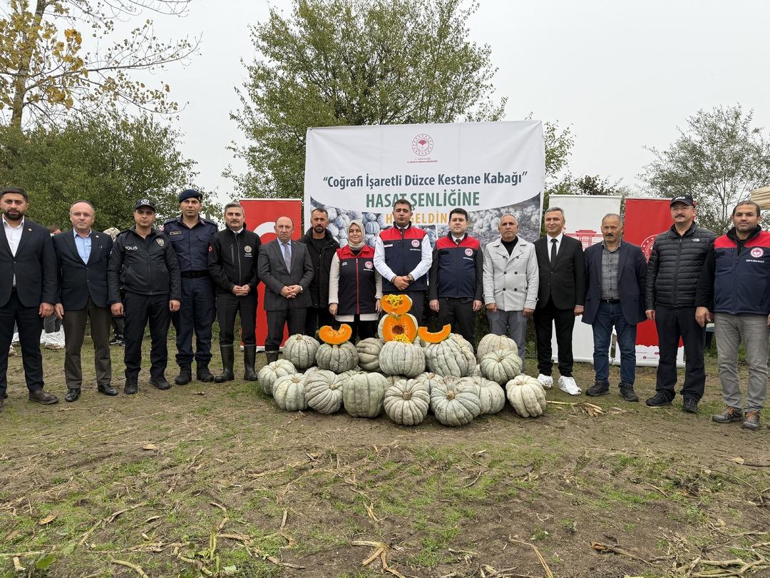 Coğrafi işaretli kestane kabağı hasadı başladı: 10 bin ton rekolte bekleniyor 4