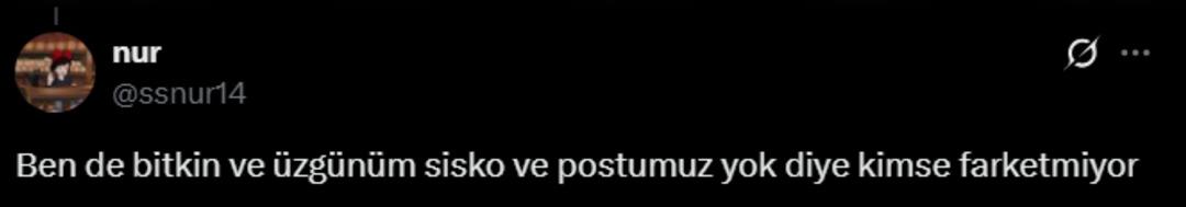 Kim üzdü bu ayıyı? Yol kenarında bulunan ayının hali gündem oldu 5