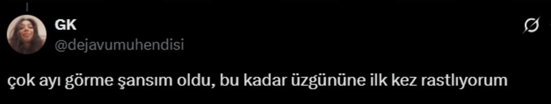 Kim üzdü bu ayıyı? Yol kenarında bulunan ayının hali gündem oldu 6