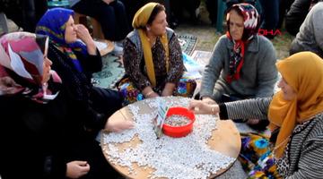 Tohumu 1700’lü yıllardan: Coğrafi işaretli ‘Kazak fasulyesi’ hasadı festivalle yapıldı