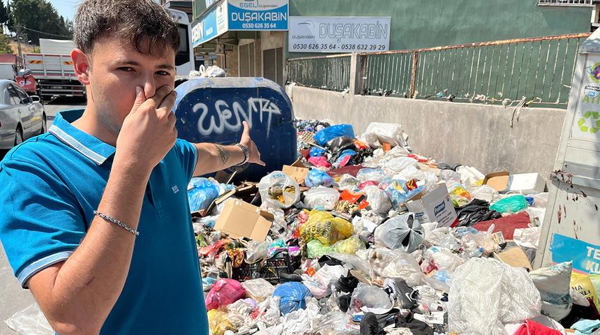 İzmir'de çöp krizi sinek istilasına dönüştü! Şehir dört koldan ilaçlanıyor