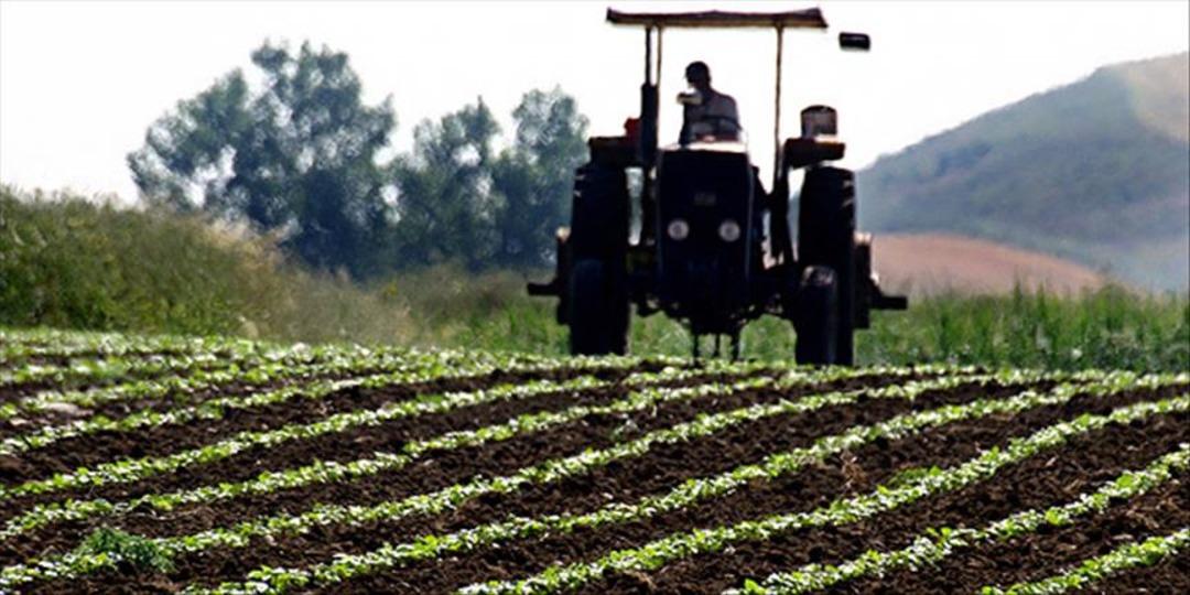 Tarım ve Orman Bakanı duyurdu: "Çiftçilere 1,5 milyar liralık tarımsal destekleme ödemesi yapılacak" Tarihi açıkladı... 3