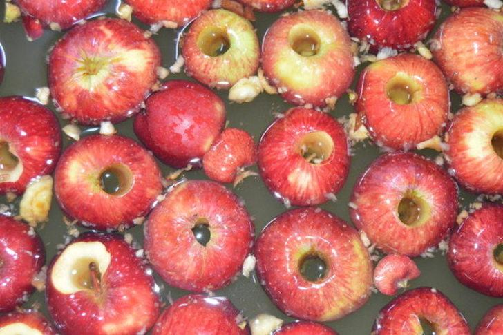 Meyveleri cipse dönüştürüp tam 13 ülkeye ihraç ediyor G1