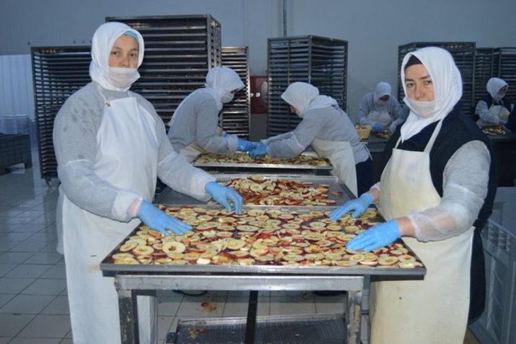 Meyveleri cipse dönüştürüp tam 13 ülkeye ihraç ediyor G4