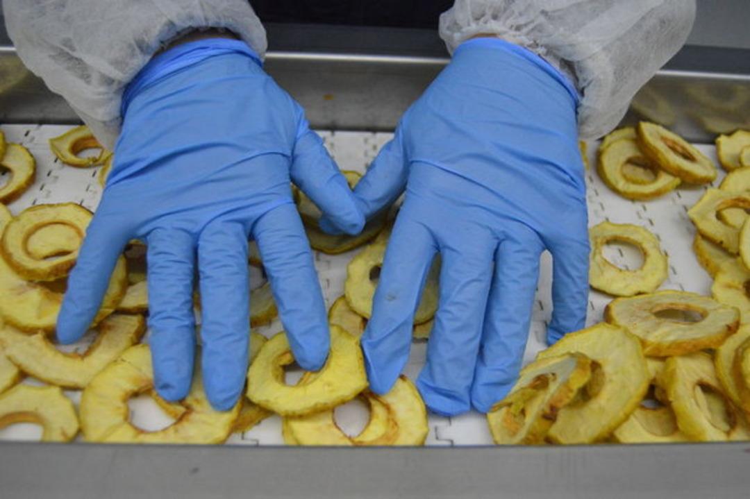 Meyveleri cipse d&ouml;n&uuml;şt&uuml;r&uuml;p tam 13 &uuml;lkeye ihra&ccedil; ediyor