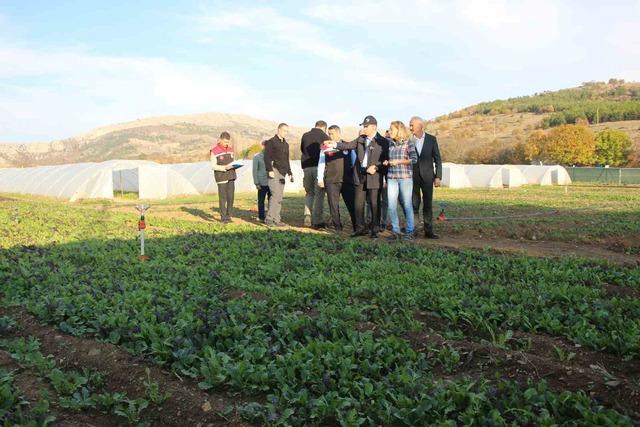 640xauto İstanbul’dan köyüne dönen gıda mühendisi kadın yeşil mirası renklendirdi