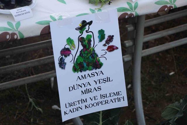 640xauto İstanbul’dan köyüne dönen gıda mühendisi kadın yeşil mirası renklendirdi