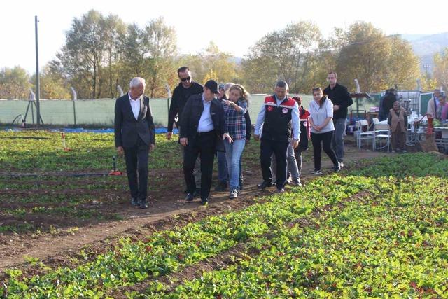 640xauto İstanbul’dan köyüne dönen gıda mühendisi kadın yeşil mirası renklendirdi