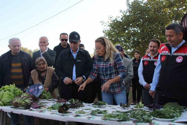 640xauto İstanbul’dan köyüne dönen gıda mühendisi kadın yeşil mirası renklendirdi