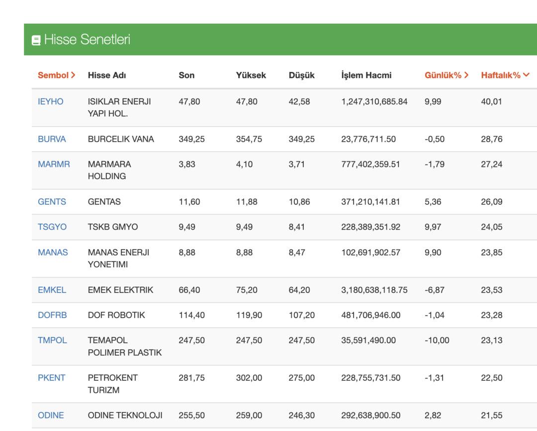Borsa düşerken bu hisseler yatırımcısına servet kazandırdı! Haftanın en çok kazandıran 10 hissesi 1