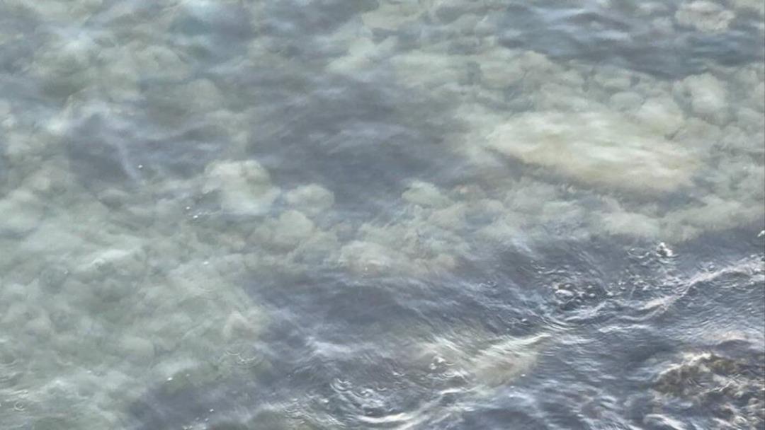 &Uuml;nl&uuml; g&ouml;lde sular &ccedil;ekildi, alev aldı! &Ccedil;akmağı yakınca fark etti 1