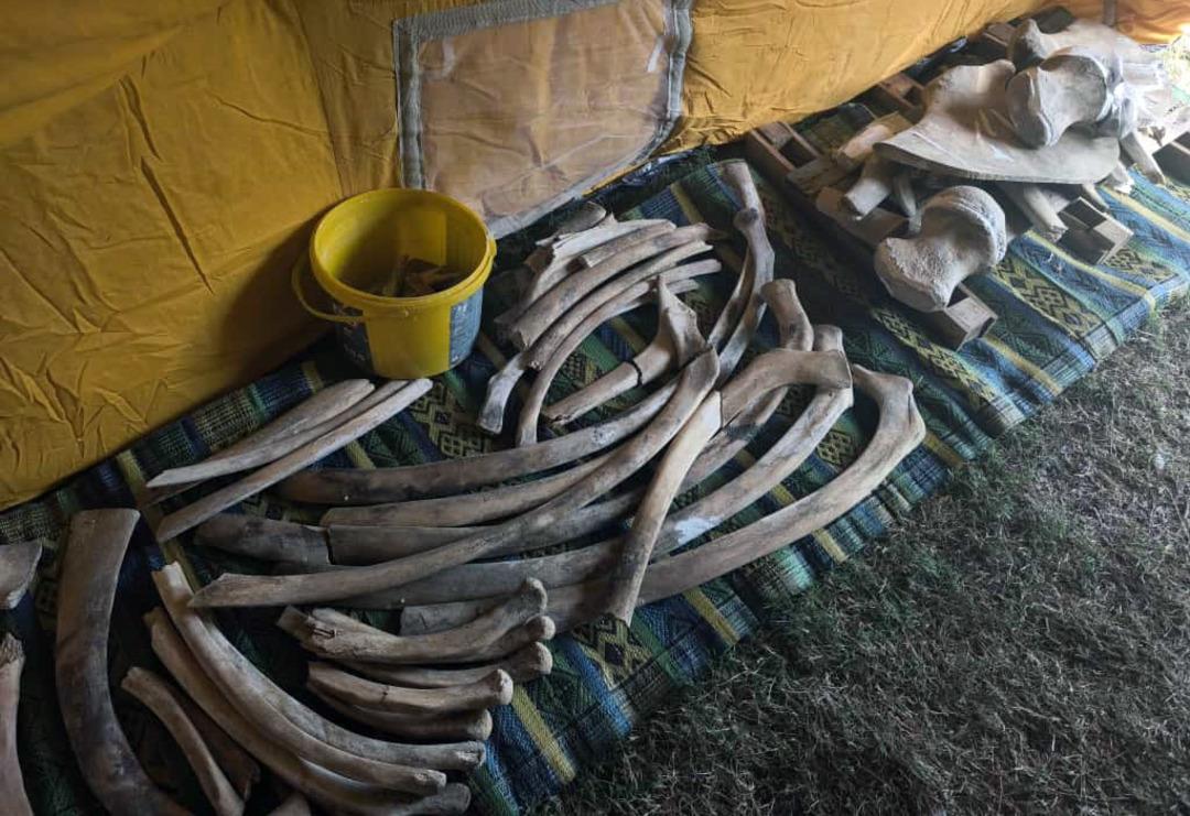 Toprak altından çıkarıldı, yapboz gibi birleştiriliyor! Yapımı aylar sürüyor 2