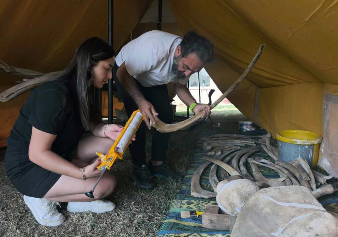Toprak altından çıkarıldı, yapboz gibi birleştiriliyor! Yapımı aylar sürüyor 5